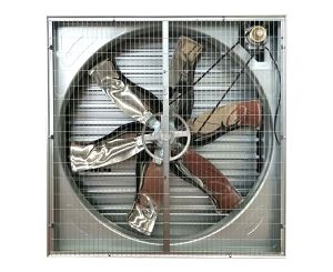 畜牧91视频播放网址的分類特點介紹