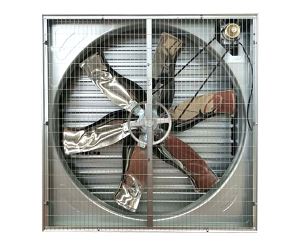 使用畜牧91视频播放网址的優點